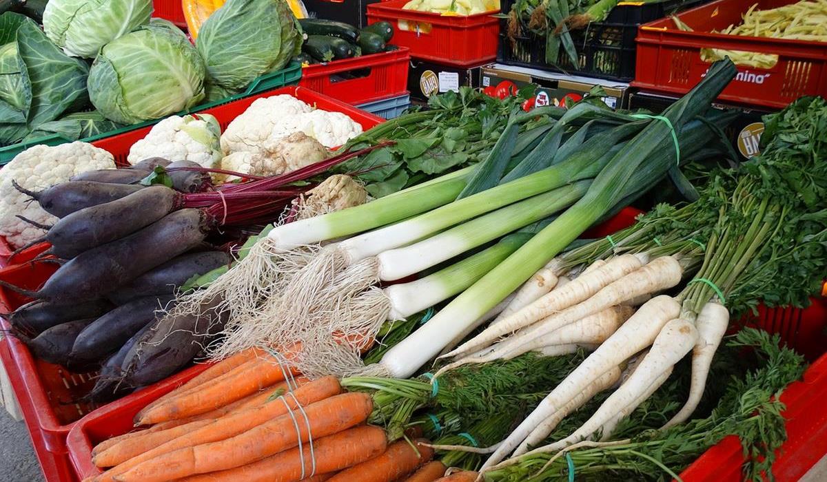 produkty zabronione na diecie karniwora