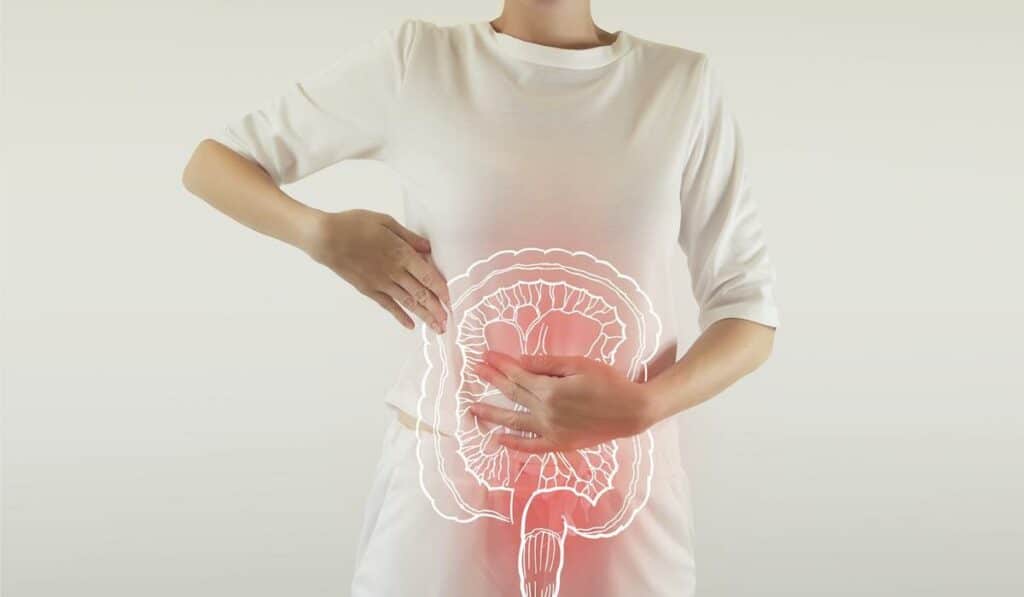 pasożyty w organizmie