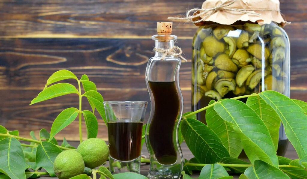 nalewka z orzechów włoskich na pasożyty