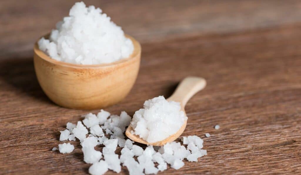 Czy sól gorzka epsom pozwala pozbyć się pasożytów? sol gorzka epsom na pasożyty
