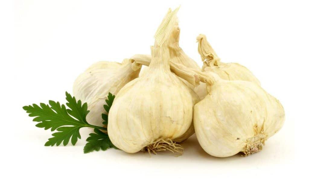 Czy czosnek to skuteczna broń na pasożyty? czosnek