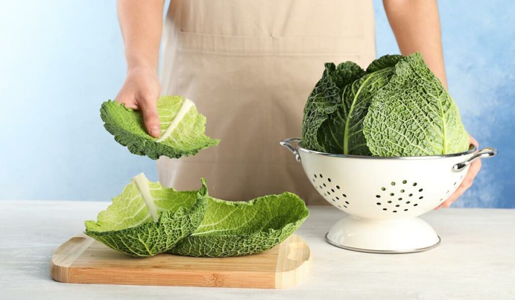 liście kapusty na okłady