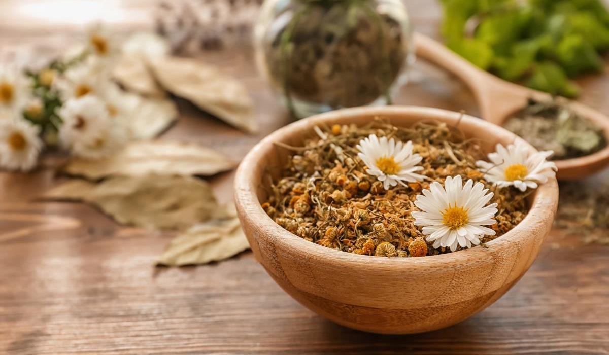 susz ziołowy z rumianku