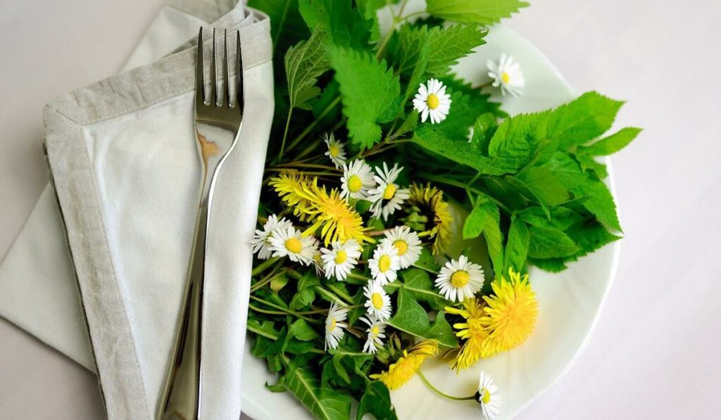 Zioła na nerwicę, stres i uspokojenie. Które warto stosować? zioła na talerzu