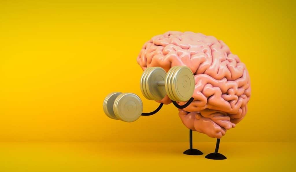 Jak zwiększyć wydajność mózgu? Naturalne sposoby na lepsze wyniki w pracy i nauce trening mózgu